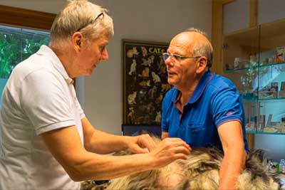 Prantner Tierklinik Hund Kunde