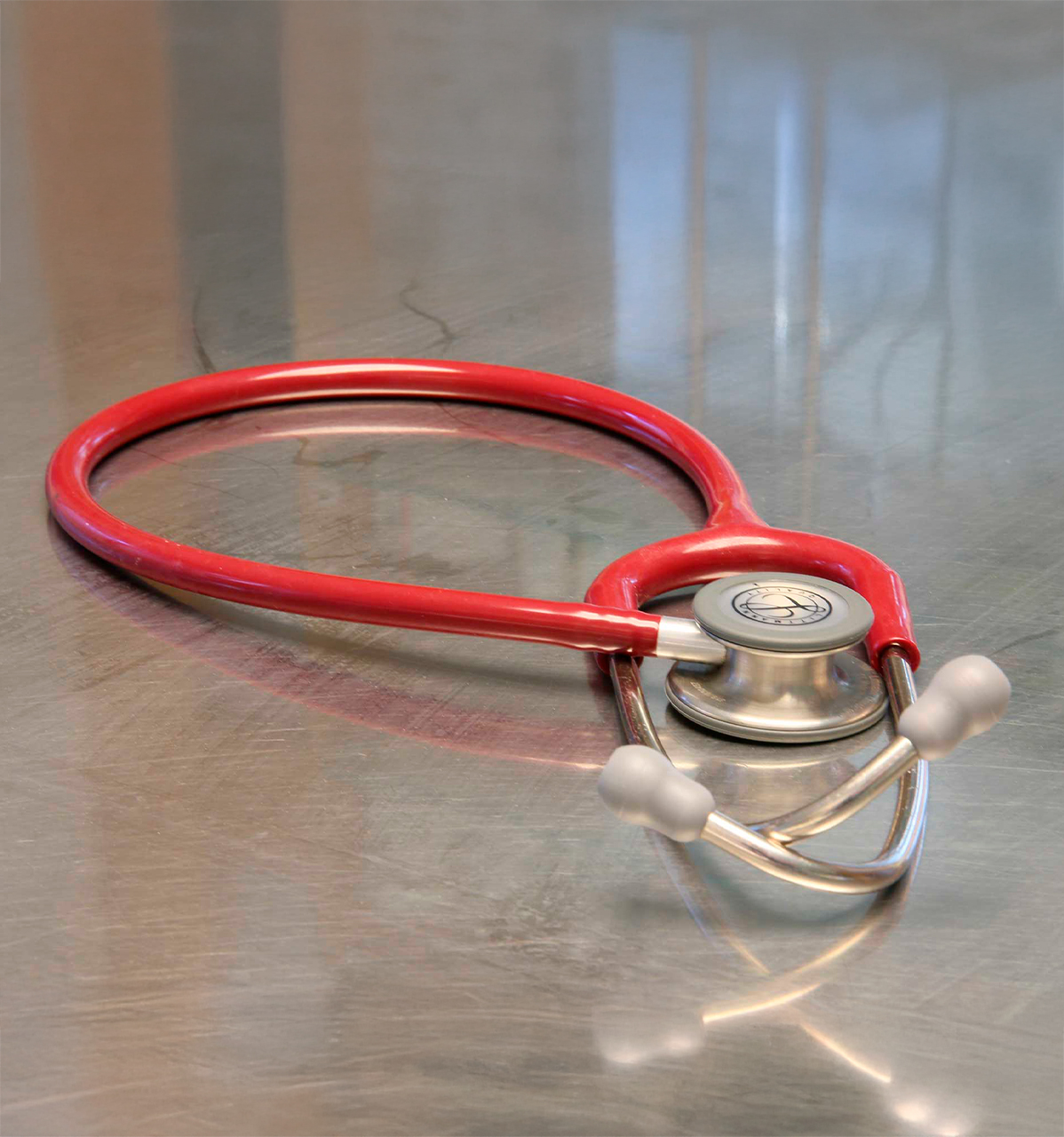 Prantner Tierklinik Hund Stationaere Aufnahme