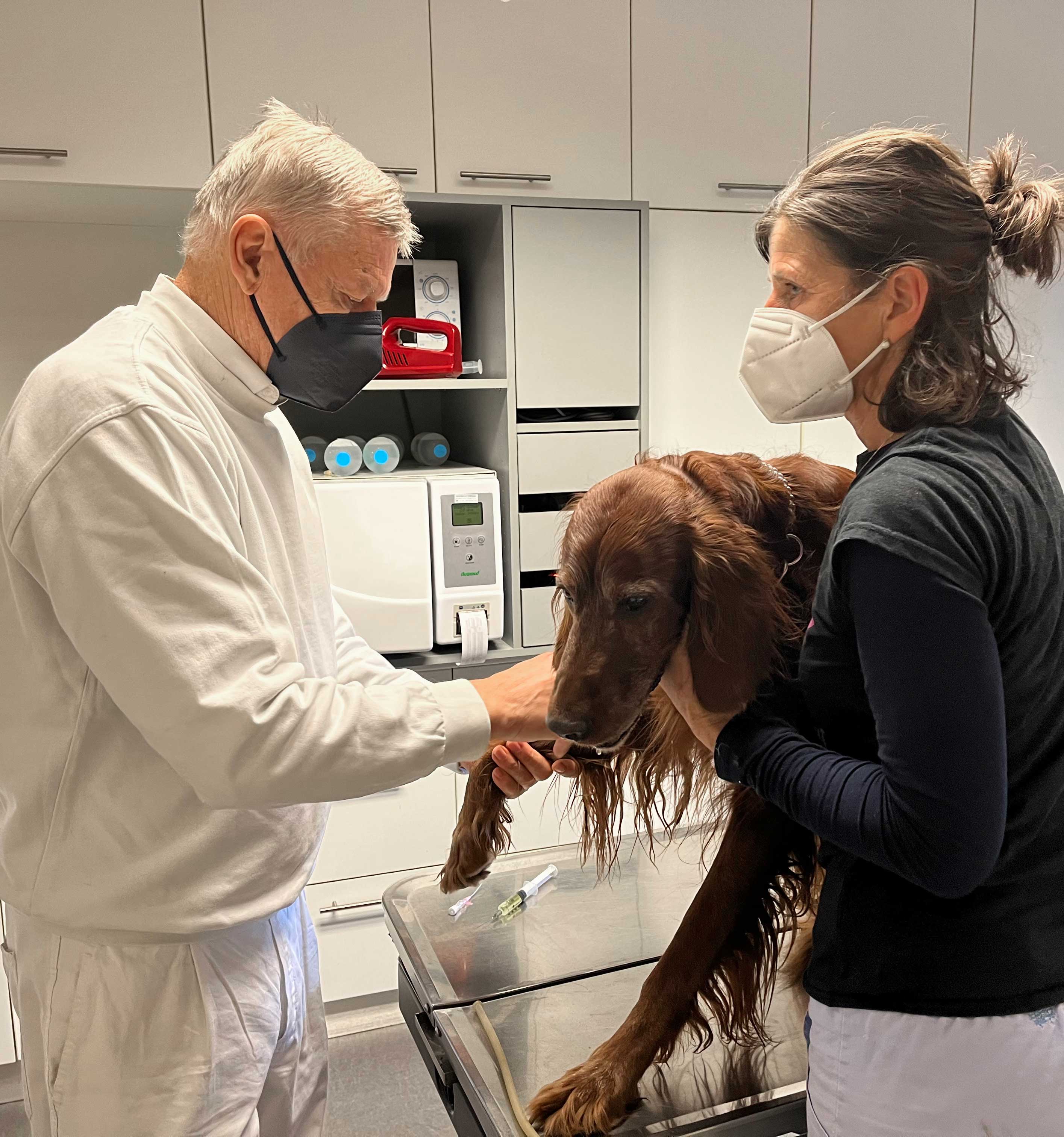 Prantner Tierklinik Hund Katze Tierarzt Brixen Vahrn